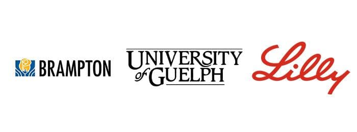 three logos: City of Brampton, University of Guelph, Lilly